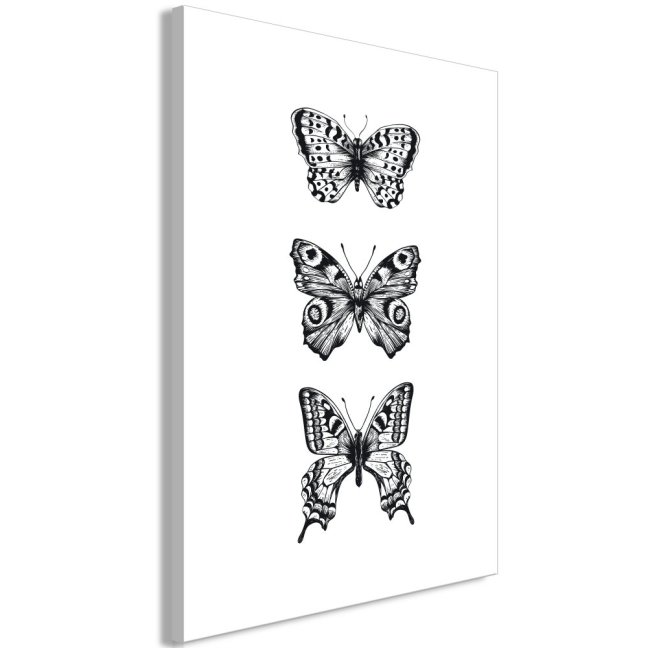 Obraz - Tři motýli