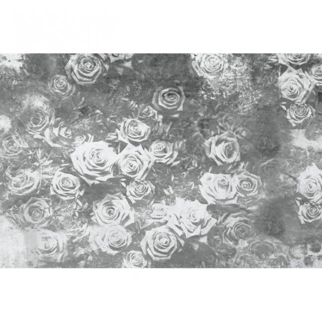 Fototapeta - Abstraktná ruža II.