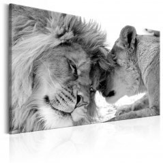 Obraz - Láska leva