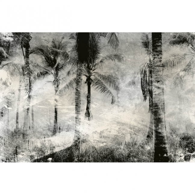 Fototapeta - Abstraktní palmy