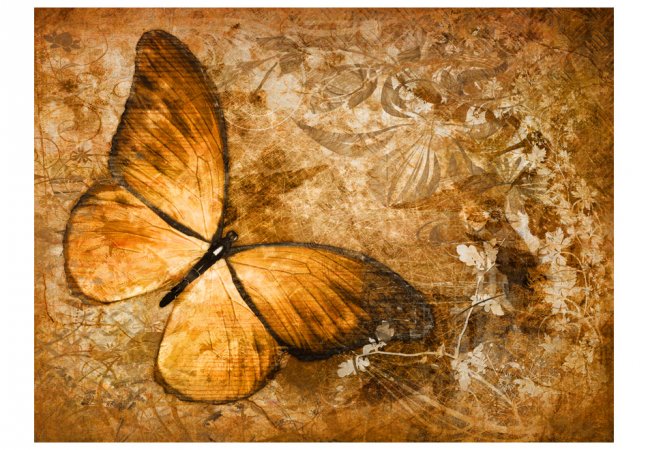 Fototapeta - Motýľ (sépia)