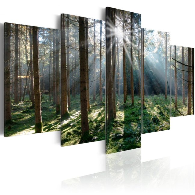 Obraz - Rozprávkový les II