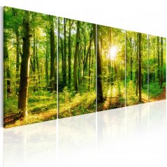 Obraz - Kouzelný les