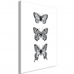 Obraz - Tři motýli