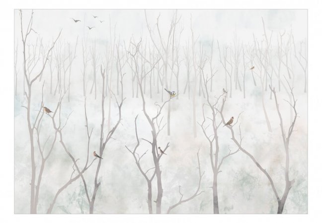 Fototapeta  - Zimný les