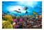 Samolepící fototapeta - Korálový útes