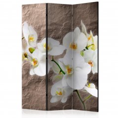 Paraván - Bezvadná orchidej