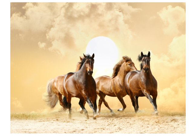 Fototapeta - Běžící koně