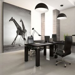 Fototapeta - Žirafy
