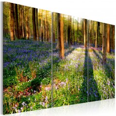 Obraz - Jarní les