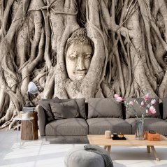 Fototapeta - Buddhův strom