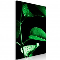 Obraz - Rostlina v černé barvě