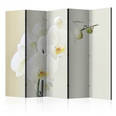 Paraván - Bílá orchidej II