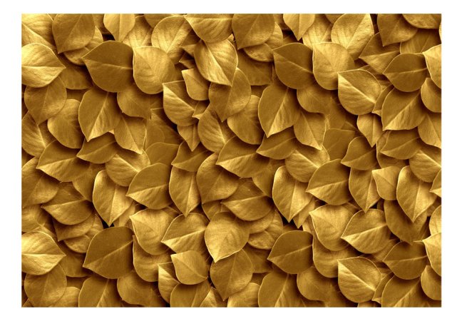 Fototapeta - Luxusní zlaté listy