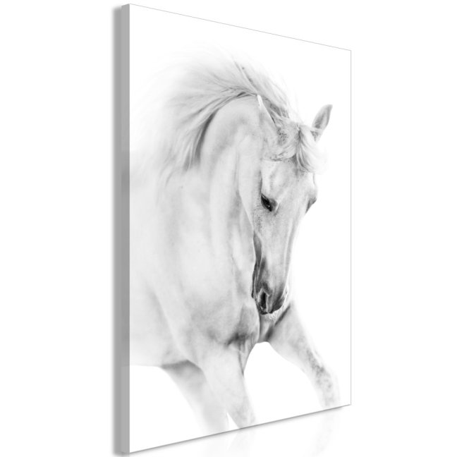 Obraz - Biely kôň