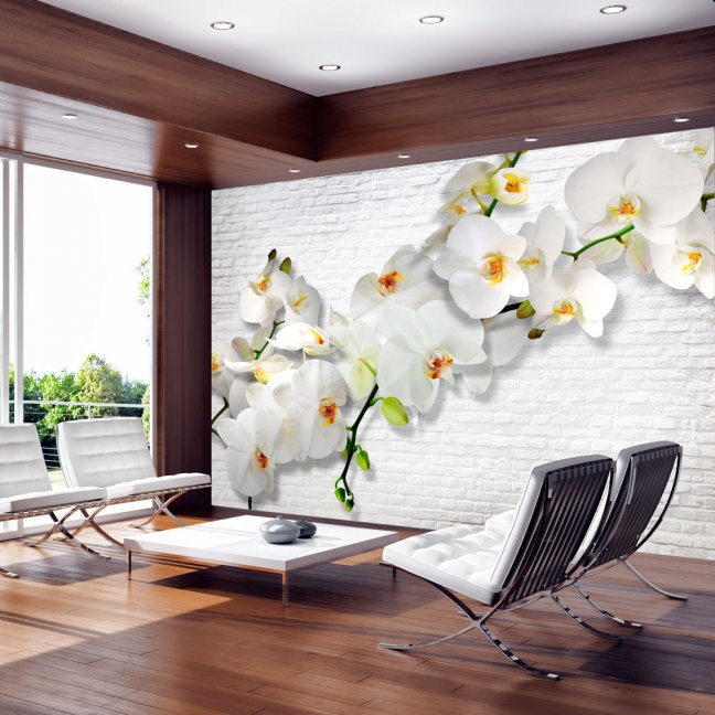 Fototapeta - Biela orchidea II