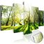 Obraz na akrylátovém skle - Zelené stromy