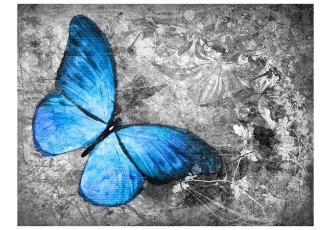 Fototapeta - Modrý motýľ III