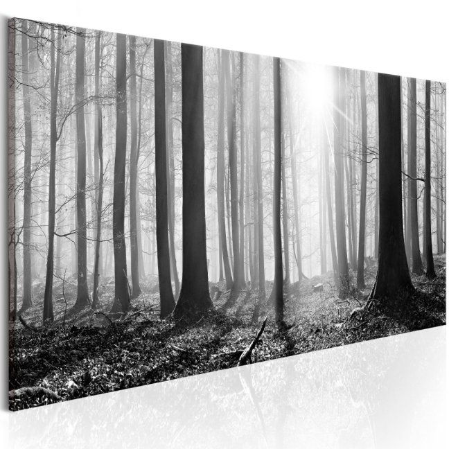 Obraz - Čiernobiely les