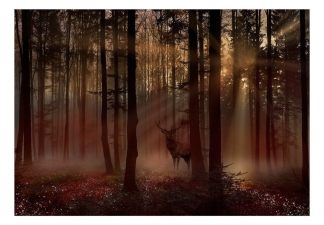 Samolepiaca fototapeta  - Mystický les I