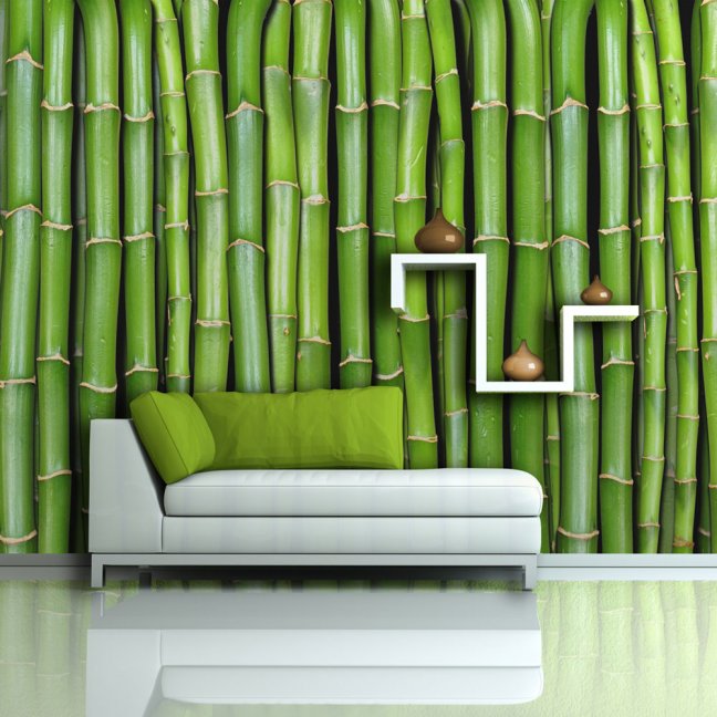Fototapeta - Bambusová zeď