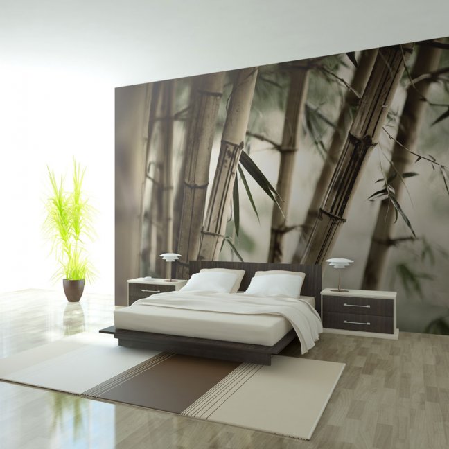 Fototapeta - Mlha a bambusový les