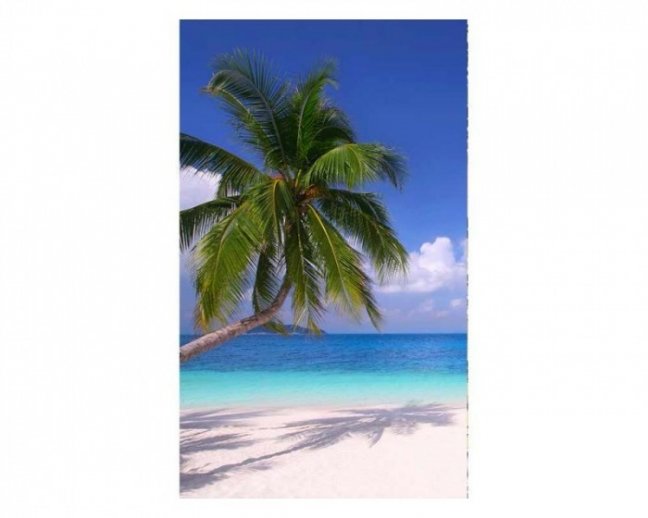 Fototapeta - Pláž s palmou - Šířka x Výška: 375x250