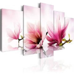 Obraz - Magnólie: růžové květy