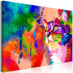 Obraz - Farebná mačka
