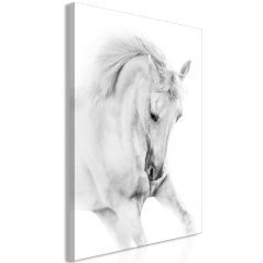 Obraz - Biely kôň