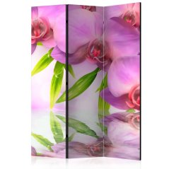 Paraván - Kúpele Orchidea