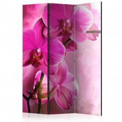 Paraván - Růžová orchidej