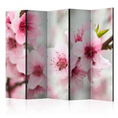 Paraván - Jarní, kvetoucí strom - růžové květy II