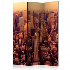 Paraván - Pohľad na Manhattan v New Yorku z vtáčej perspektívy