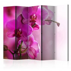 Paraván - Růžová orchidej III