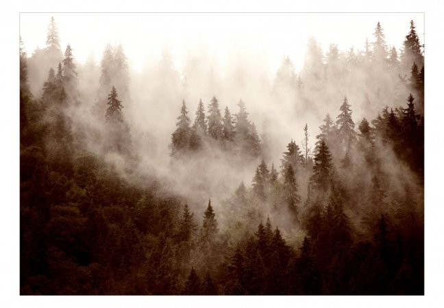 Fototapeta  - Horský les (sépia)