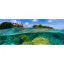 Panoramatická fototapeta - Koralový útes