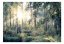 Samolepící fototapeta - Příběhy lesa
