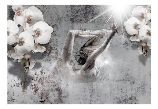 Fototapeta - Baletka s orchidejemi