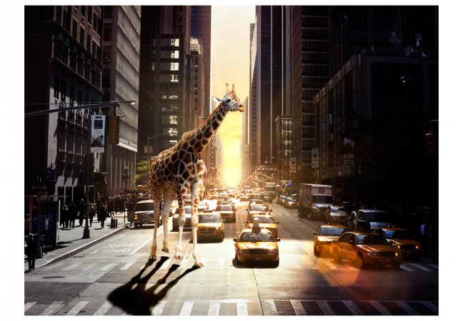 Fototapeta - Žirafa ve velkém městě