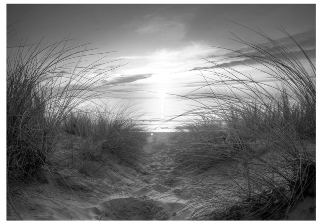 Fototapeta - Černobílá pláž