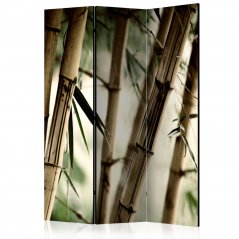 Paraván - Mlha a bambusový les