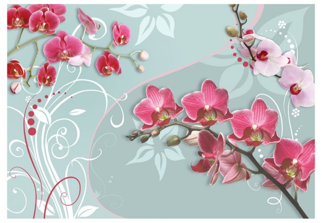 Fototapeta - Ružové orchidey - variácie II