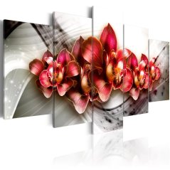 Obraz - Říše orchidejí