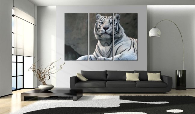 Obraz - Biely tiger