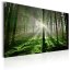 Obraz - Smaragdový les II