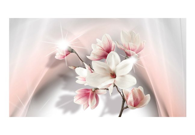 Fototapeta XXL - Bílé magnolie II