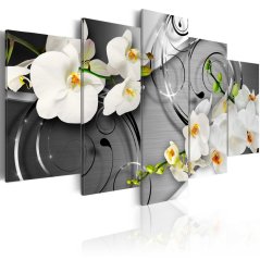 Obraz - Mliečne orchidey