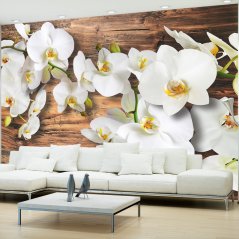 Fototapeta - Lesní orchidej