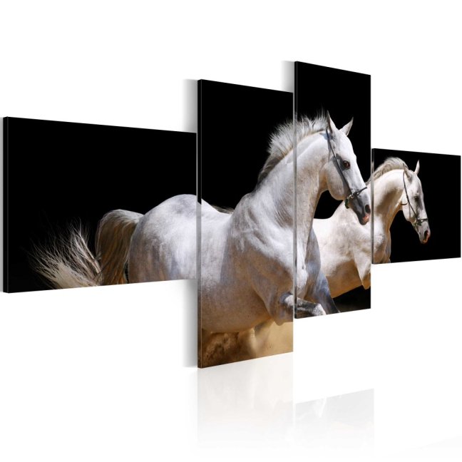 Obraz - Svet zvierat - biele bežiace kone